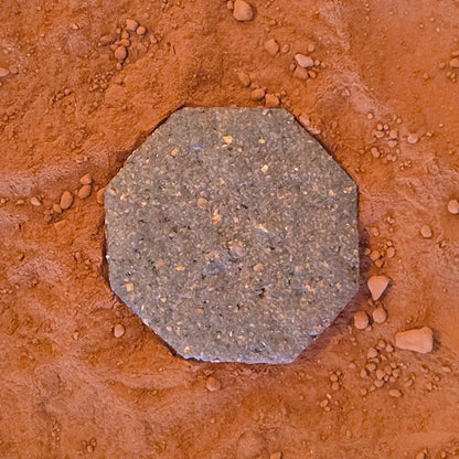 biscuit sablé noisette cacao chocolat peu sucré IG bas ingrédients de qualité