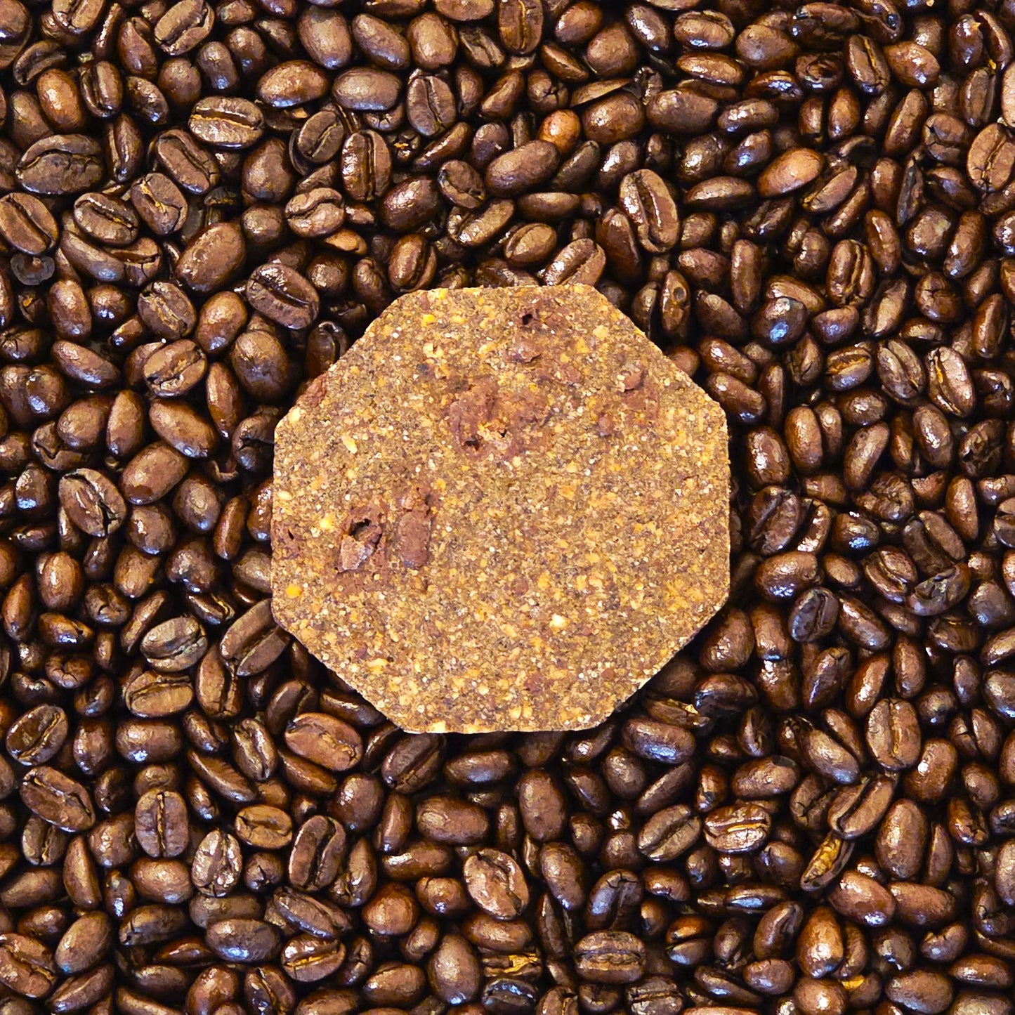 biscuit sablé noisette cafe café peu sucré IG bas ingrédients de qualité